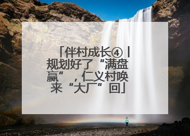 伴村成长④丨规划好了“满盘赢”，仁义村唤来“大厂”回