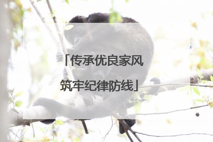 传承优良家风 筑牢纪律防线