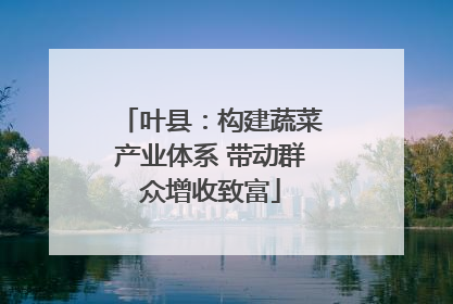 叶县：构建蔬菜产业体系 带动群众增收致富