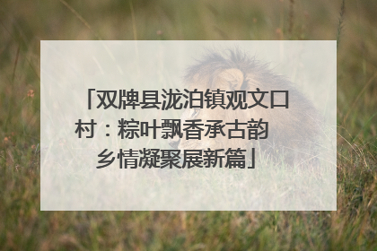 双牌县泷泊镇观文口村：粽叶飘香承古韵 乡情凝聚展新篇