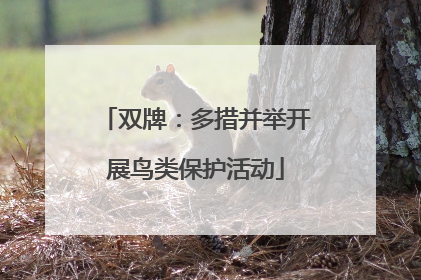 双牌：多措并举开展鸟类保护活动