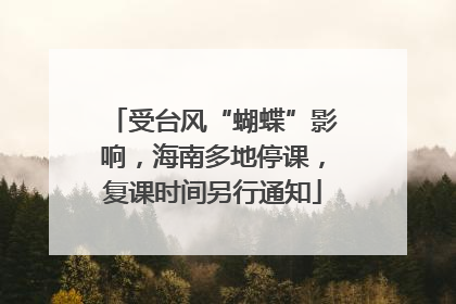 受台风“蝴蝶”影响，海南多地停课，复课时间另行通知