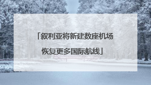 叙利亚将新建数座机场 恢复更多国际航线
