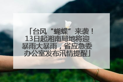 台风“蝴蝶”来袭！13日起湘南局地将迎暴雨大暴雨，省应急委办公室发布汛情提醒