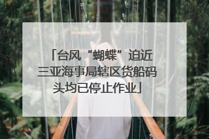 台风“蝴蝶”迫近 三亚海事局辖区货船码头均已停止作业
