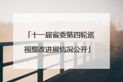 十一届省委第四轮巡视整改进展情况公开