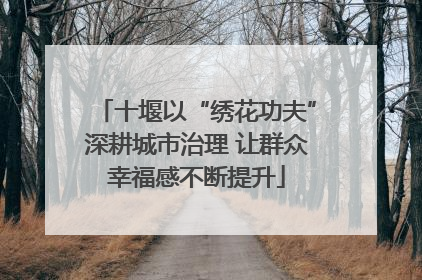 十堰以“绣花功夫”深耕城市治理 让群众幸福感不断提升