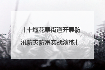 十堰花果街道开展防汛防灾防溺实战演练