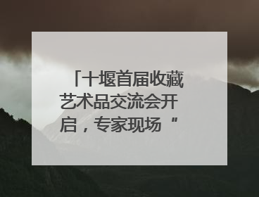 十堰首届收藏艺术品交流会开启，专家现场“掌眼”