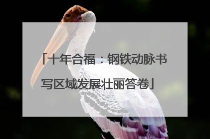 十年合福：钢铁动脉书写区域发展壮丽答卷