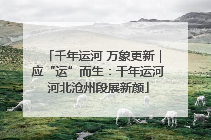 千年运河 万象更新｜应“运”而生：千年运河河北沧州段展新颜