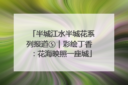半城江水半城花系列报道⑤｜彩绘丁香：花海映照一座城
