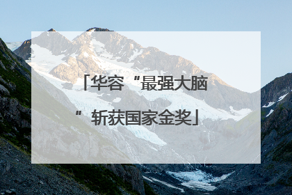 华容“最强大脑”斩获国家金奖