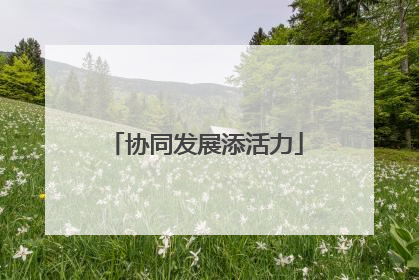 协同发展添活力