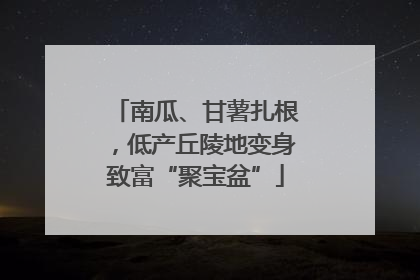 南瓜、甘薯扎根，低产丘陵地变身致富“聚宝盆”