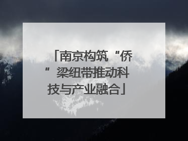 南京构筑“侨”梁纽带推动科技与产业融合