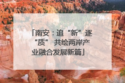 南安：追“新”逐“质” 共绘两岸产业融合发展新篇