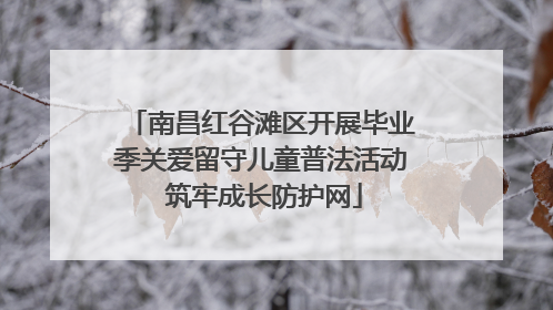 南昌红谷滩区开展毕业季关爱留守儿童普法活动 筑牢成长防护网