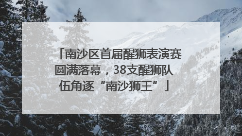南沙区首届醒狮表演赛圆满落幕，38支醒狮队伍角逐“南沙狮王”