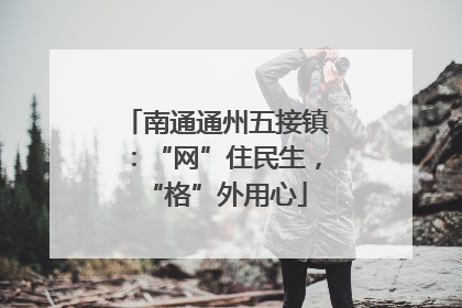 南通通州五接镇：“网”住民生，“格”外用心