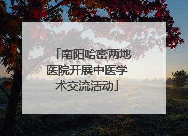 南阳哈密两地医院开展中医学术交流活动