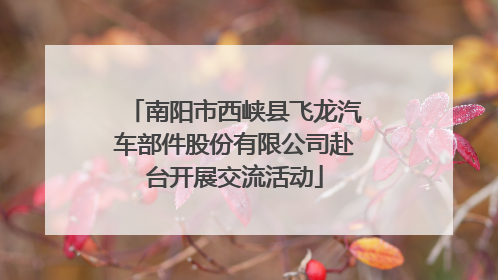 南阳市西峡县飞龙汽车部件股份有限公司赴台开展交流活动