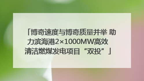 博奇速度与博奇质量并举 助力滨海港2×1000MW高效清洁燃煤发电项目“双投”