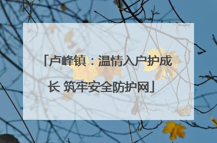 卢峰镇：温情入户护成长 筑牢安全防护网