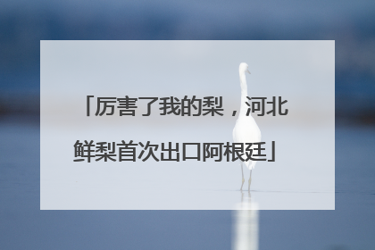 厉害了我的梨，河北鲜梨首次出口阿根廷