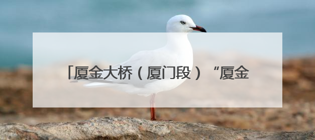 厦金大桥（厦门段）“厦金号”盾构机始发 福建省最大直径盾构隧道正式掘进