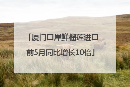 厦门口岸鲜榴莲进口 前5月同比增长10倍