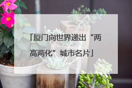 厦门向世界递出“两高两化”城市名片