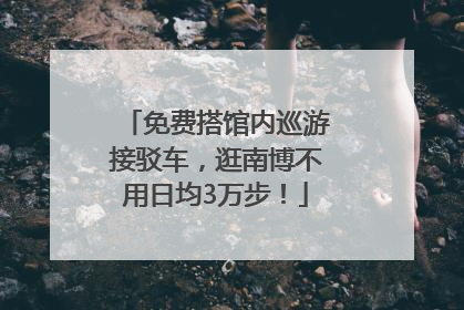 免费搭馆内巡游接驳车，逛南博不用日均3万步！