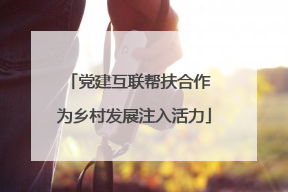 党建互联帮扶合作 为乡村发展注入活力