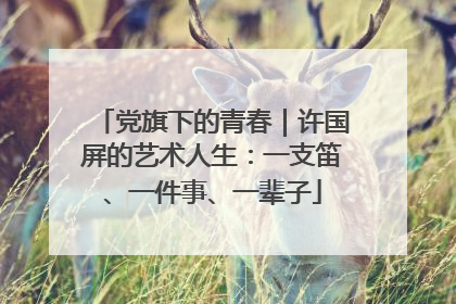 党旗下的青春｜许国屏的艺术人生：一支笛、一件事、一辈子