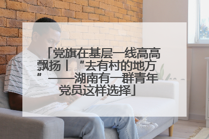 党旗在基层一线高高飘扬丨“去有村的地方”——湖南有一群青年党员这样选择