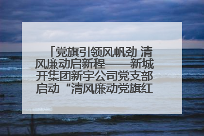 党旗引领风帆劲 清风廉动启新程——新城开集团新宇公司党支部启动“清风廉动党旗红”系列活动