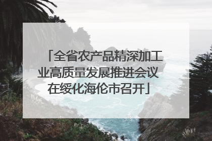 全省农产品精深加工业高质量发展推进会议在绥化海伦市召开