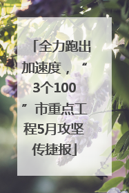 全力跑出加速度，“3个100”市重点工程5月攻坚传捷报