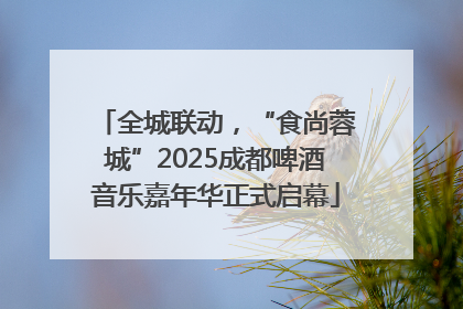 全城联动，“食尚蓉城”2025成都啤酒音乐嘉年华正式启幕