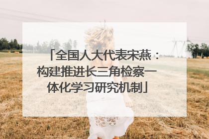 全国人大代表宋燕：构建推进长三角检察一体化学习研究机制