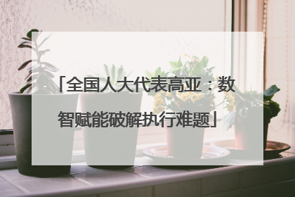 全国人大代表高亚：数智赋能破解执行难题