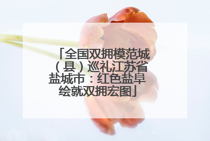 全国双拥模范城（县）巡礼江苏省盐城市：红色盐阜绘就双拥宏图