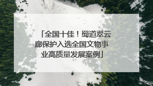 全国十佳！蜀道翠云廊保护入选全国文物事业高质量发展案例