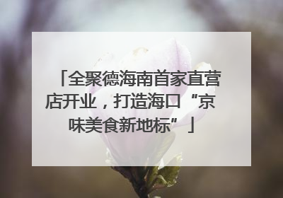 全聚德海南首家直营店开业，打造海口“京味美食新地标”