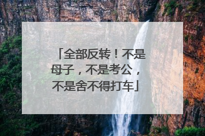 全部反转！不是母子，不是考公，不是舍不得打车