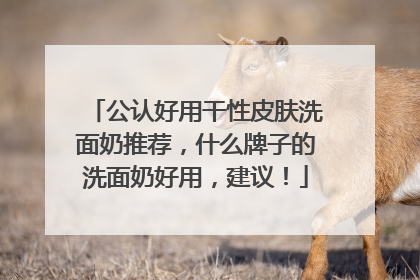 公认好用干性皮肤洗面奶推荐，什么牌子的洗面奶好用，建议！