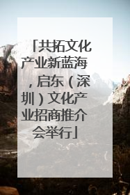 共拓文化产业新蓝海，启东（深圳）文化产业招商推介会举行