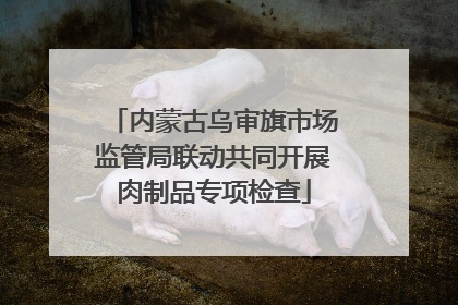 内蒙古乌审旗市场监管局联动共同开展肉制品专项检查