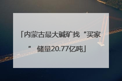 内蒙古最大碱矿找“买家” 储量20.77亿吨
